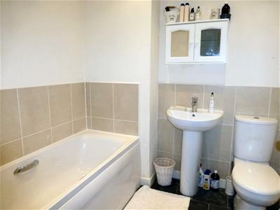 Picture 11
